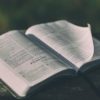 Open bible