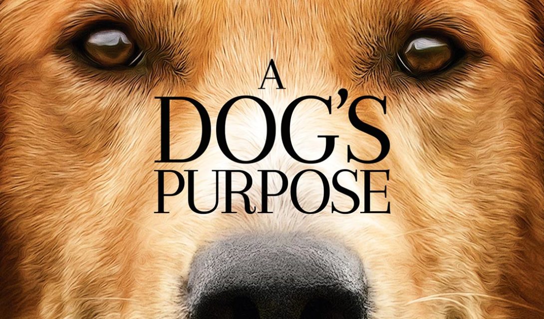 dogs_purpose_film
