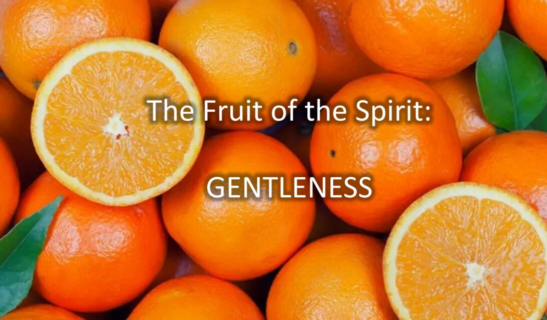 Fruit of the Spirit: Gentleness